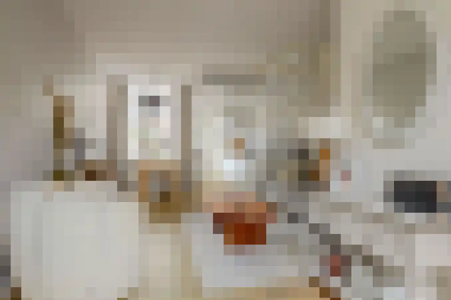 Warmoezierskade 31 Gouda thumbnail 8