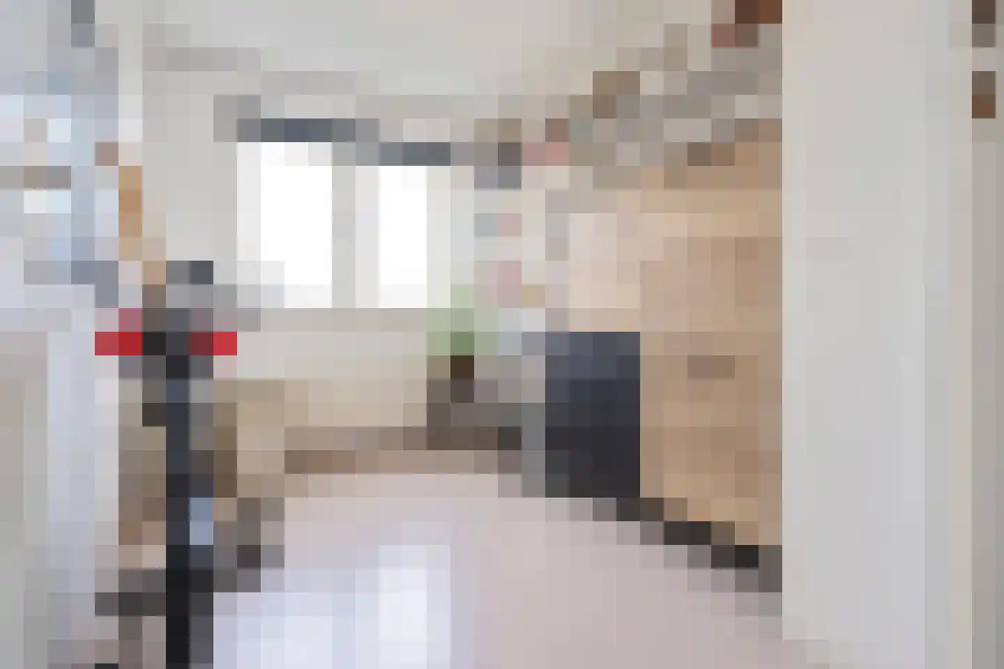 Warmoezierslaan 16 Heiloo thumbnail 18
