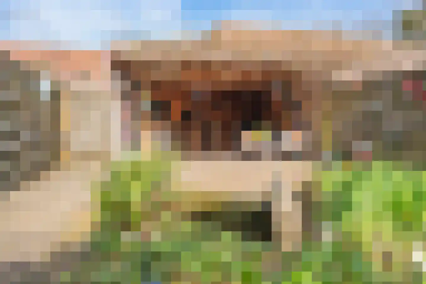 Warmoezierslaan 16 Heiloo foto 2