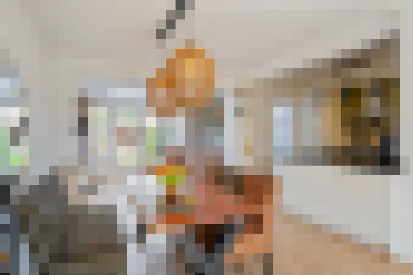 Warmoezierslaan 16 Heiloo thumbnail 4