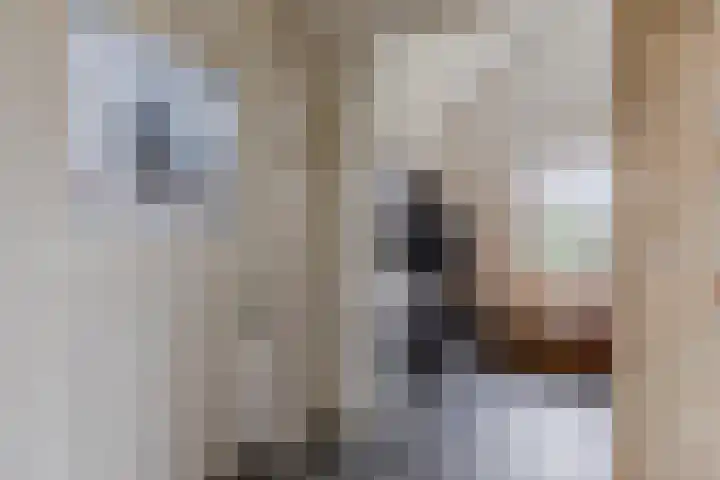 Warmoezierslaan 32 Heiloo thumbnail 10