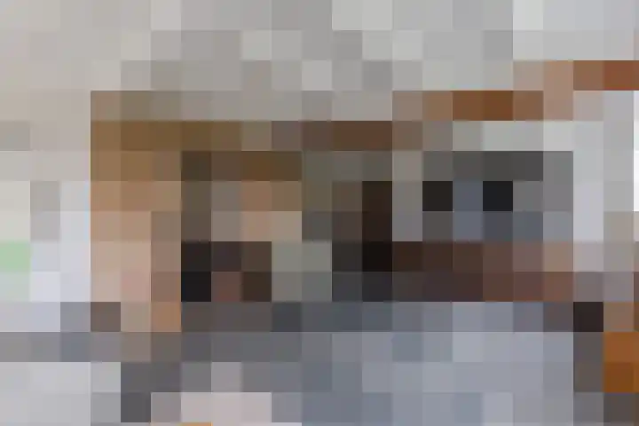 Warmoezierslaan 32 Heiloo thumbnail 14