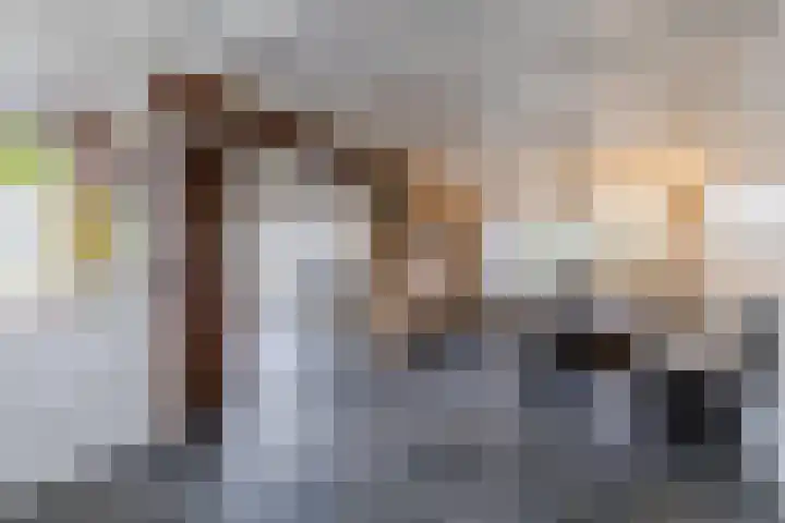 Warmoezierslaan 32 Heiloo thumbnail 16