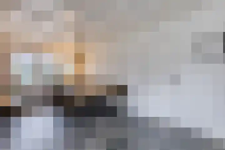 Warmoezierslaan 32 Heiloo thumbnail 17