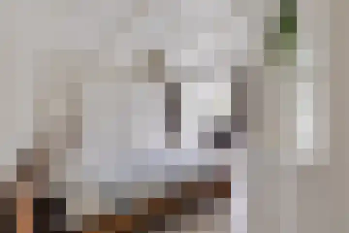 Warmoezierslaan 32 Heiloo thumbnail 25