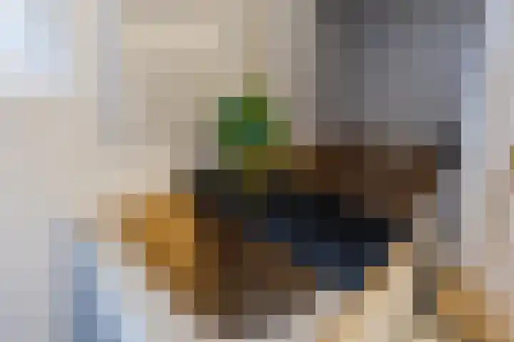 Warmoezierslaan 32 Heiloo thumbnail 29