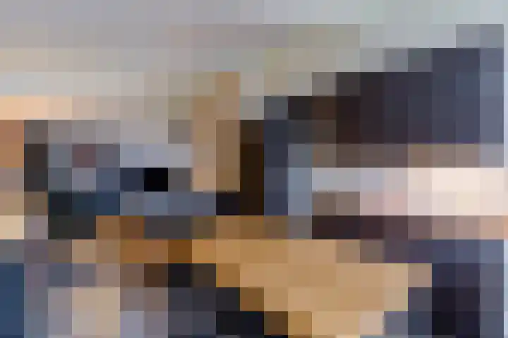 Warmoezierslaan 32 Heiloo thumbnail 37
