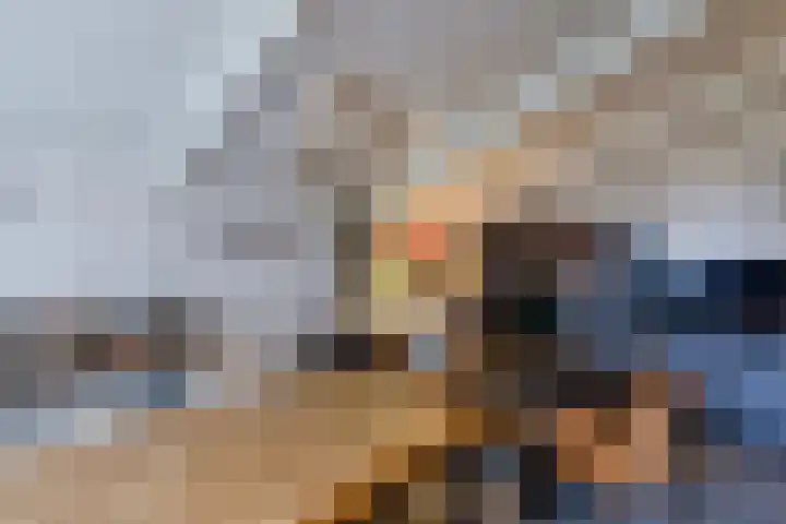 Warmoezierslaan 32 Heiloo thumbnail 38