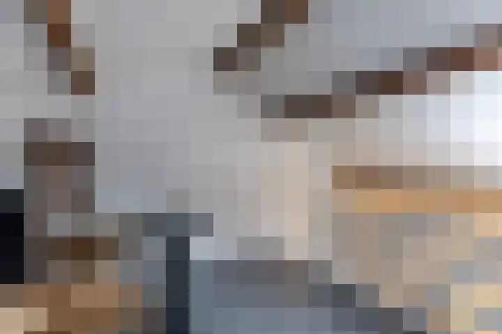 Warmoezierslaan 32 Heiloo thumbnail 43