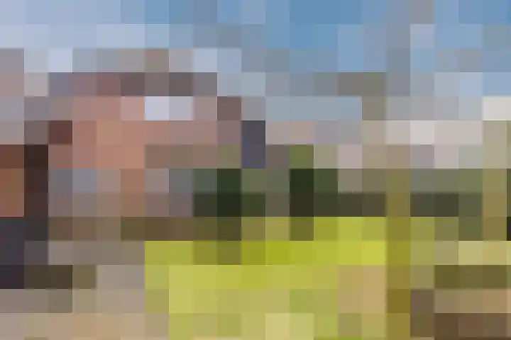 Warmoezierslaan 32 Heiloo thumbnail 5