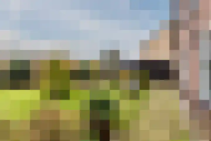 Warmoezierslaan 32 Heiloo thumbnail 55