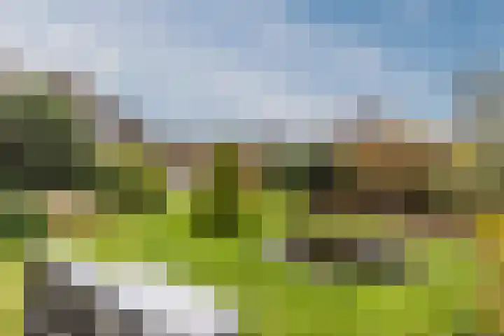 Warmoezierslaan 32 Heiloo thumbnail 56