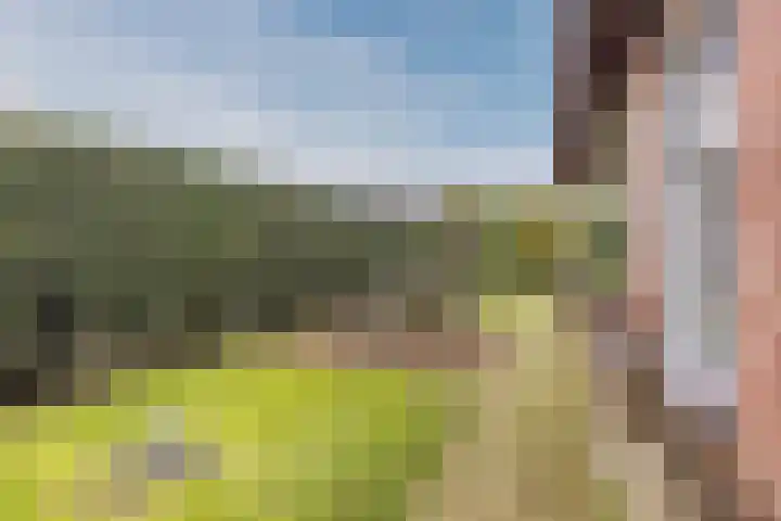 Warmoezierslaan 32 Heiloo thumbnail 57