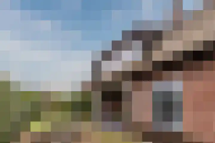 Warmoezierslaan 32 Heiloo thumbnail 58
