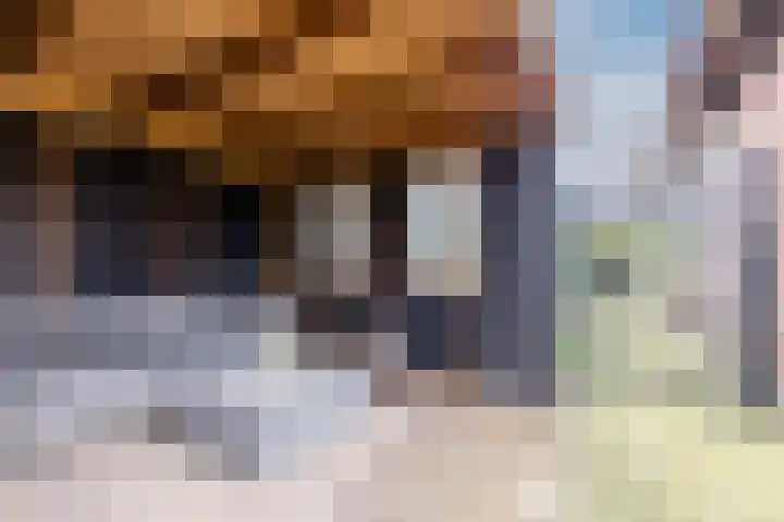 Warmoezierslaan 32 Heiloo thumbnail 59