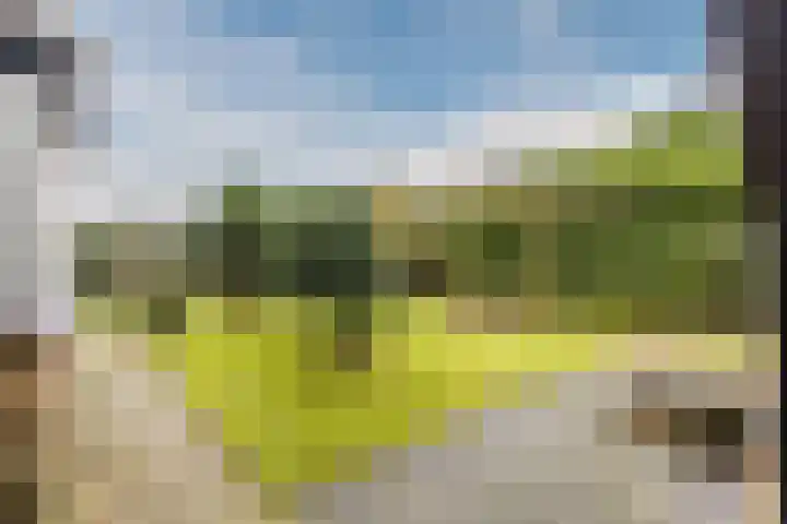 Warmoezierslaan 32 Heiloo thumbnail 61