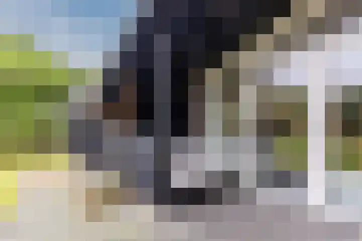 Warmoezierslaan 32 Heiloo thumbnail 62