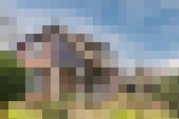 Warmoezierslaan 32 Heiloo thumbnail 63