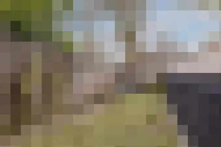 Warmoezierslaan 32 Heiloo thumbnail 64