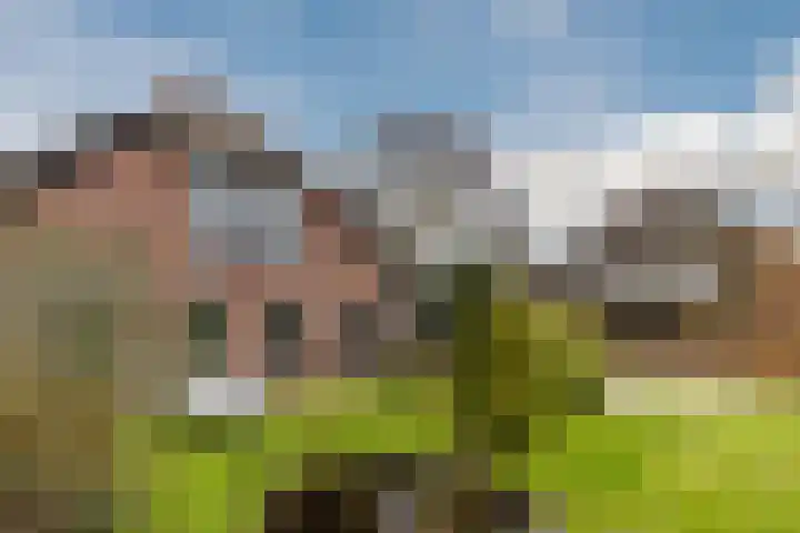 Warmoezierslaan 32 Heiloo thumbnail 66