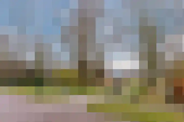 Warmoezierslaan 32 Heiloo thumbnail 68