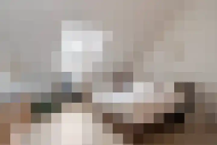Warmoezierspad 2 Dordrecht thumbnail 14