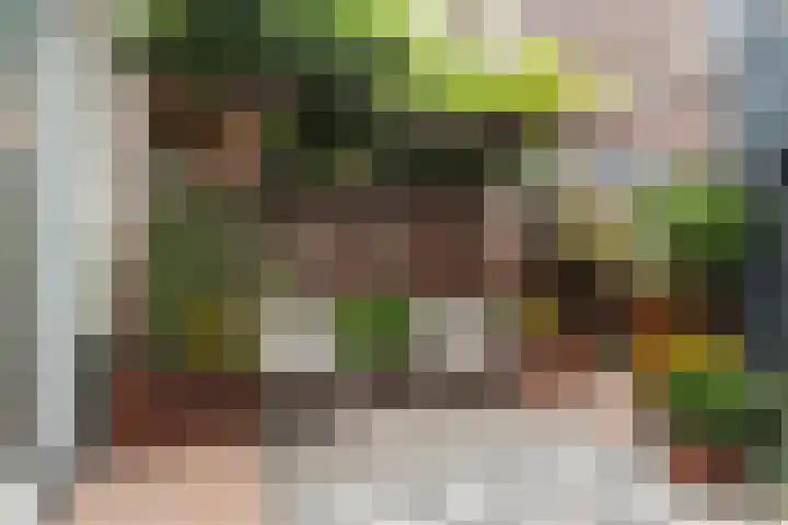 Warmoezierspad 2 Dordrecht thumbnail 19