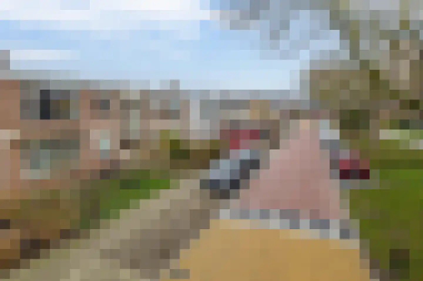 Warmoeziersstraat 19 Zwijndrecht thumbnail 20