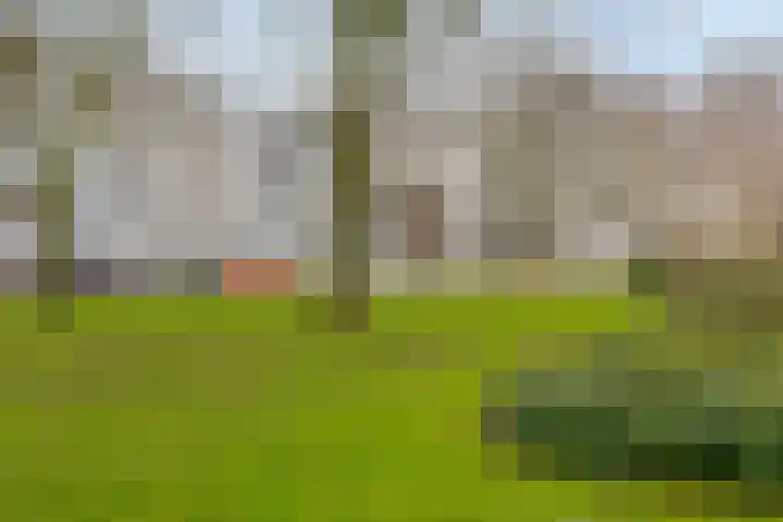Warmoeziersstraat 31 Zwijndrecht thumbnail 23