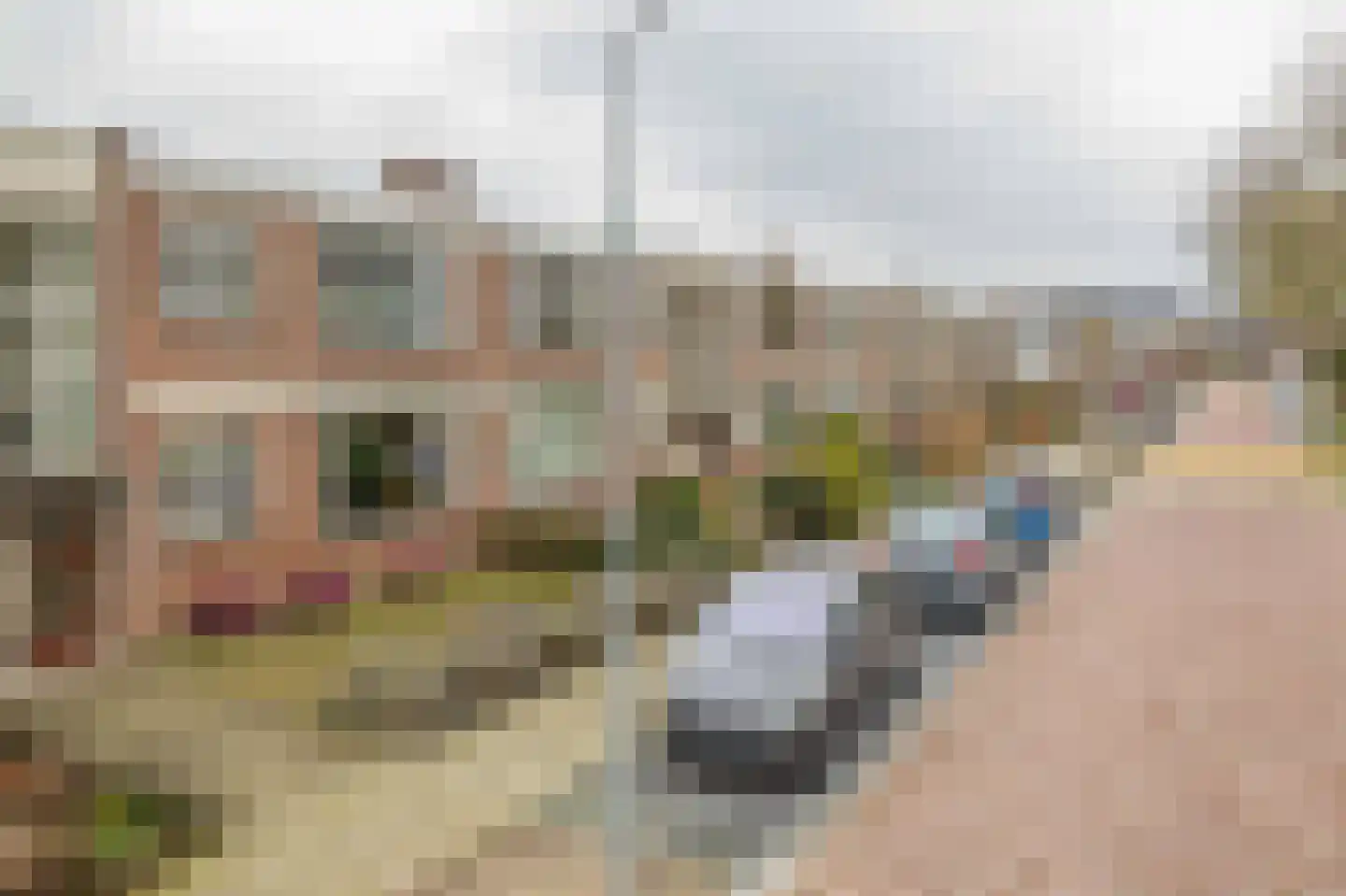 Warmoeziersstraat 37 Zwijndrecht thumbnail 26