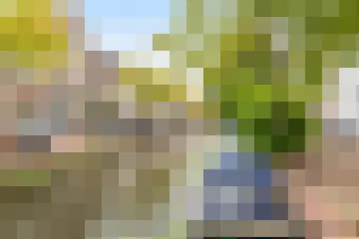 Warmoezierstraat 5 B Delft thumbnail 6