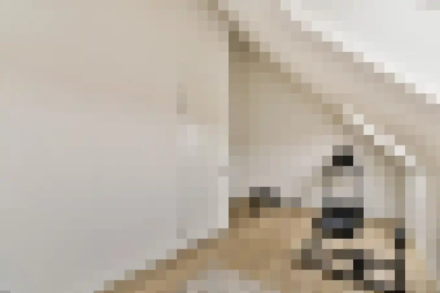 Warmoldstraat 73 B Rotterdam thumbnail 33