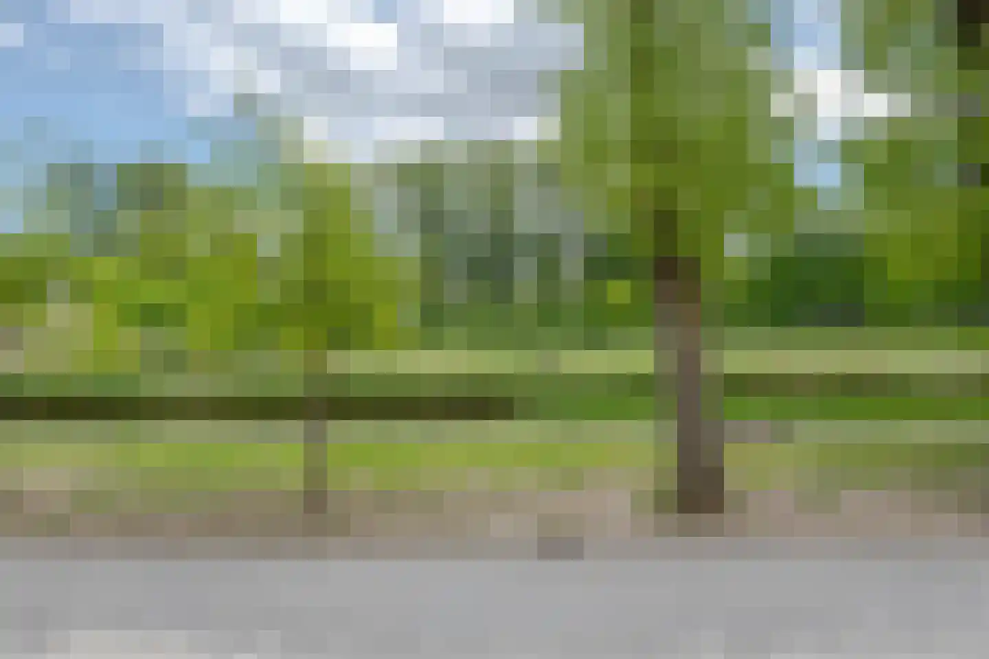 Warmoldstraat 77 B Rotterdam thumbnail 29
