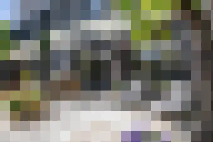 Warmoltseiland 15 Eelderwolde thumbnail 17