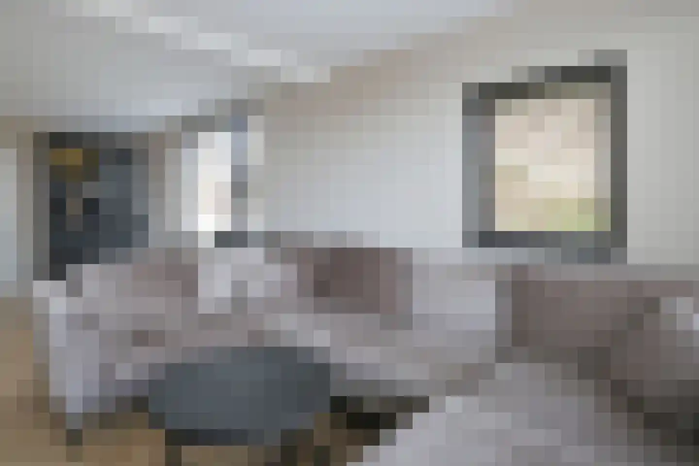 Warmoltsstrjitte 34 Harkema thumbnail 11
