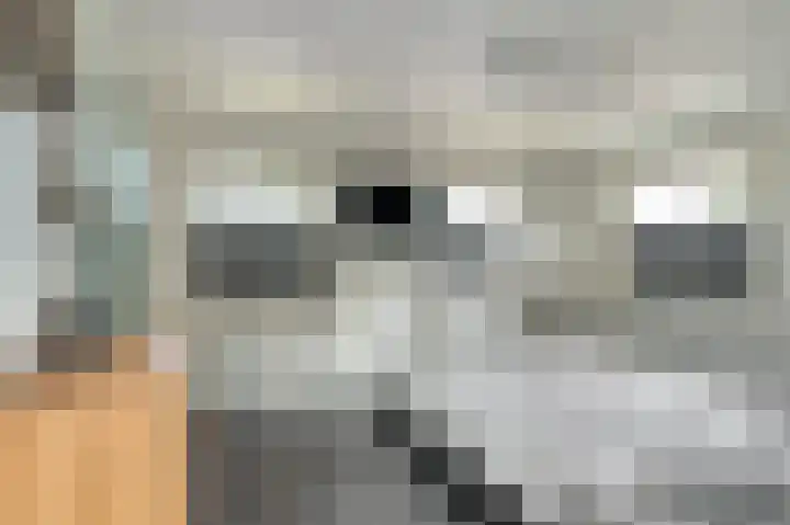 Warmoltsstrjitte 48 Harkema thumbnail 21