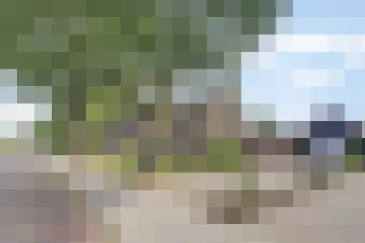 Warmoltsstrjitte 48 Harkema thumbnail 36