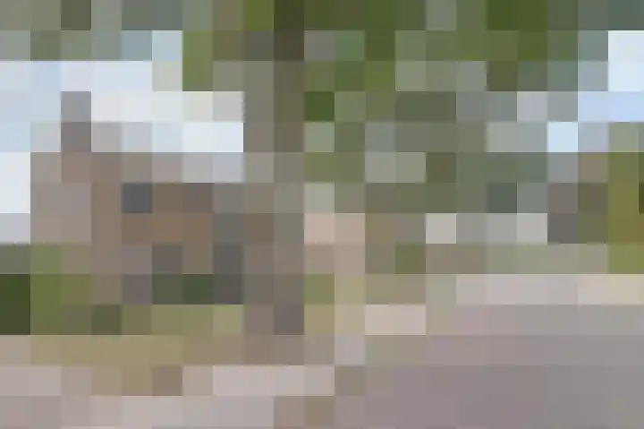 Warmoltsstrjitte 48 Harkema thumbnail 37