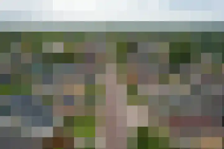 Warmoltsstrjitte 56 A Harkema thumbnail 21