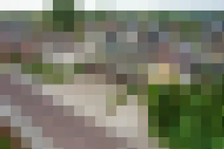 Warmoltsstrjitte 56 A Harkema thumbnail 22