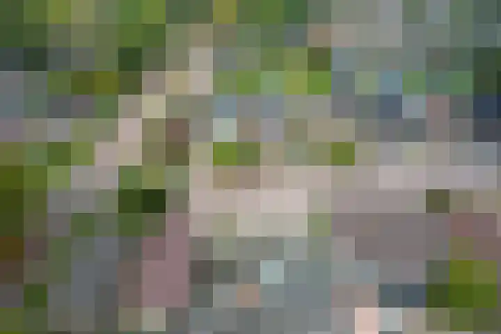 Warmoltsstrjitte 56 A Harkema thumbnail 24
