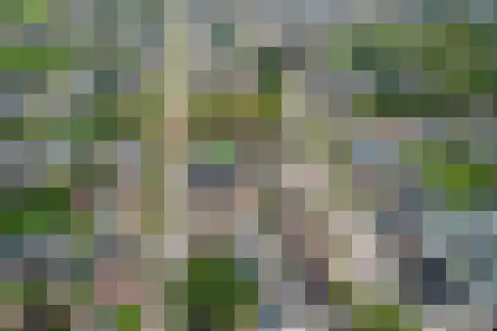 Warmoltsstrjitte 56 A Harkema thumbnail 25