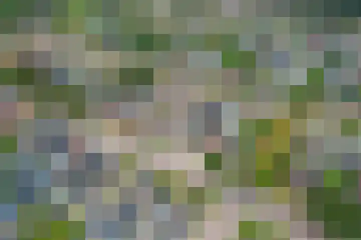 Warmoltsstrjitte 56 A Harkema thumbnail 26