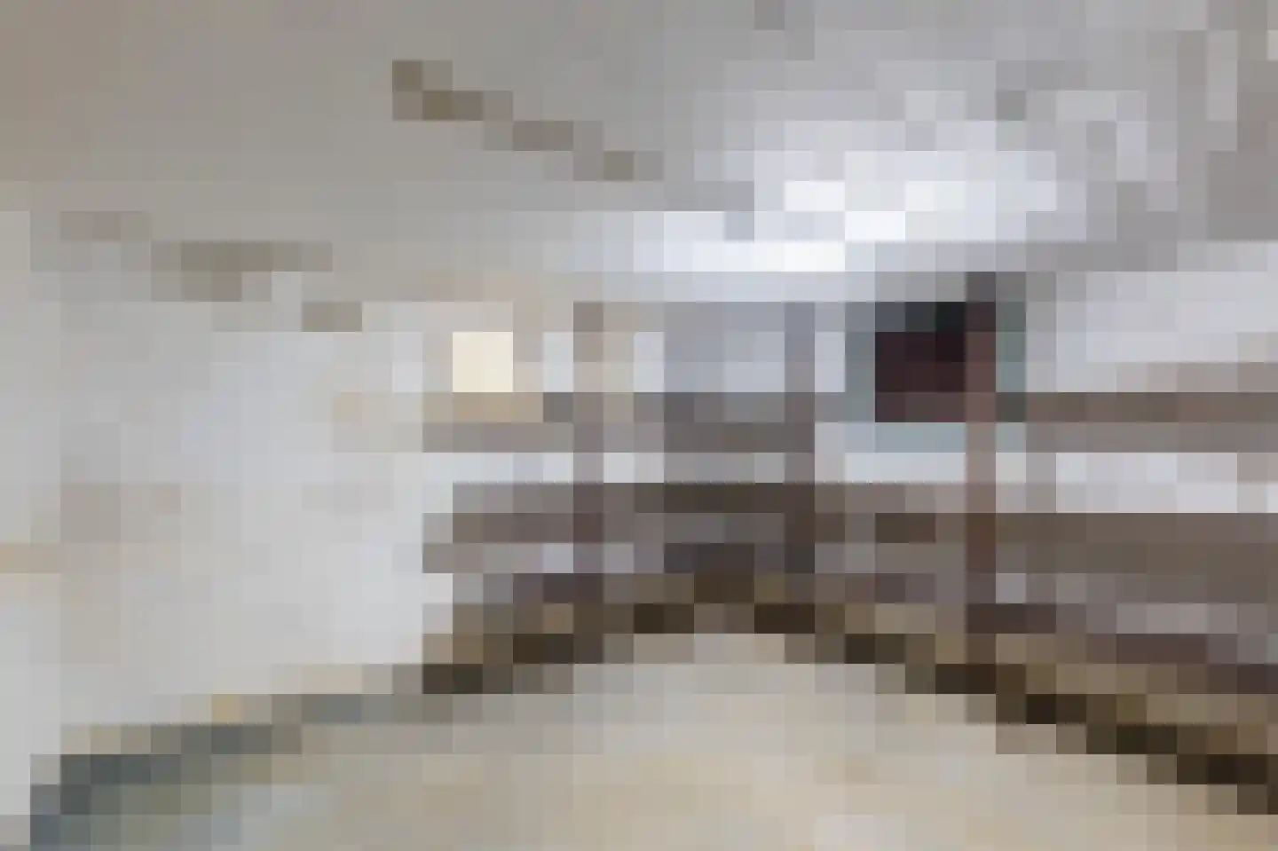 Warmoltsstrjitte 56 Harkema thumbnail 32