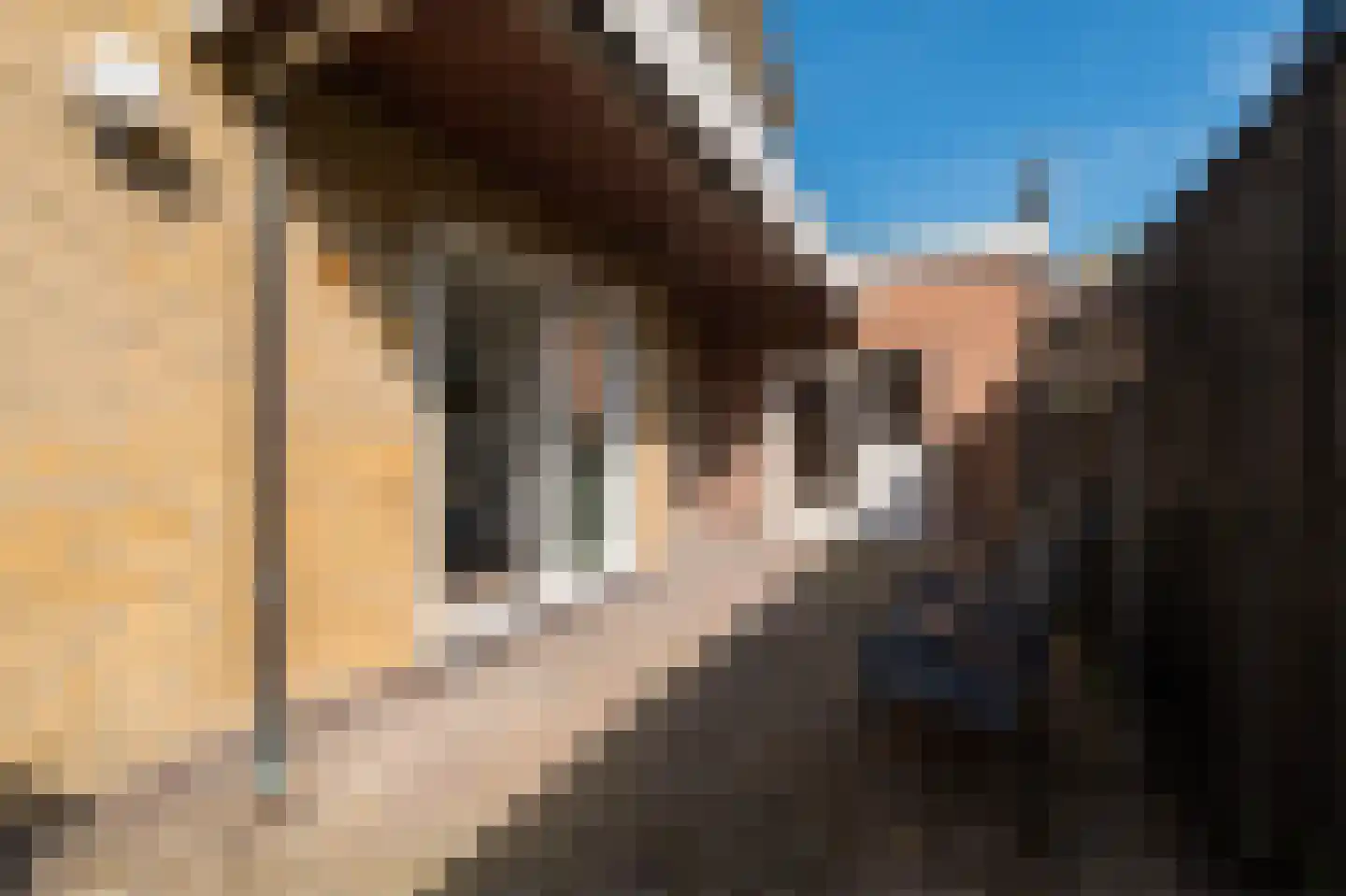 Warmoltsstrjitte 56 Harkema thumbnail 34