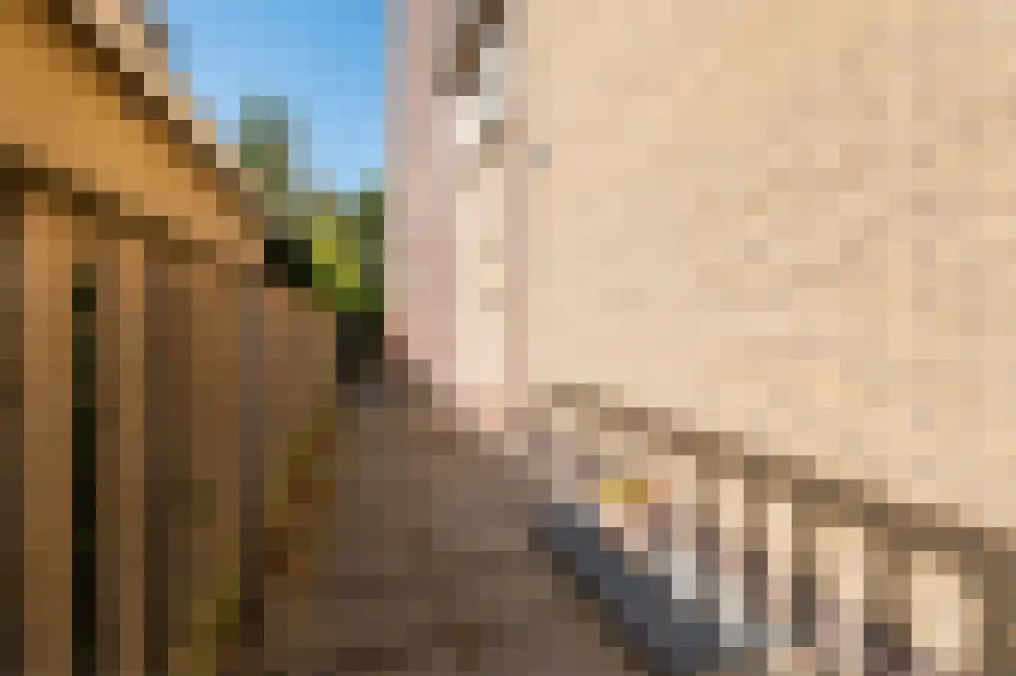 Warmoltsstrjitte 56 Harkema thumbnail 36