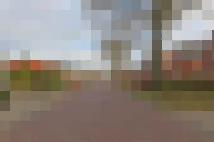 Warmoltsstrjitte 68 Harkema thumbnail 4