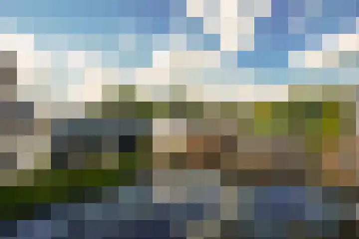 Warmoltsstrjitte 85 Harkema thumbnail 24