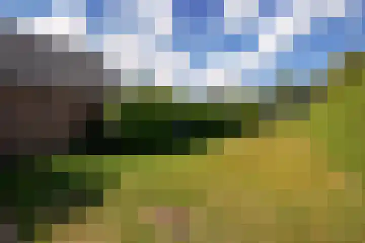Warmoltsstrjitte 85 Harkema thumbnail 37