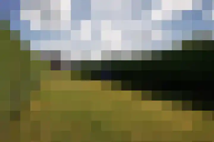Warmoltsstrjitte 85 Harkema thumbnail 38